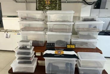 Polícia Civil deflagra operação contra manutenção irregular de animais