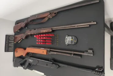 Polícia Militar apreende armas em Terra Nova do Norte