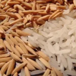 Preço do diesel e margens negativas travam liquidez do arroz no RS, apesar de preços em valorização