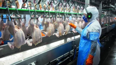 Preço do frango atinge menor valor desde 2023 no atacado de SP, pressionado por demanda fraca e incertezas no Oriente Médio