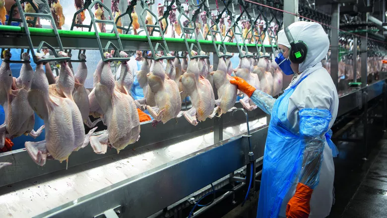 Preço do frango atinge menor valor desde 2023 no atacado de SP, pressionado por demanda fraca e incertezas no Oriente Médio