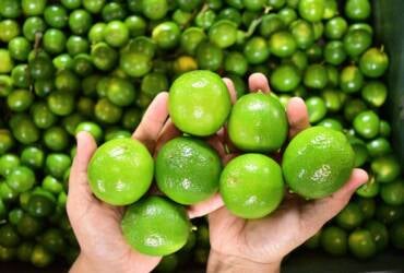 Preços da lima ácida tahiti reagem em março com oferta reduzida no fim da safra