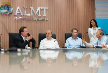 Mineração avança com parceria entre ALMT e China