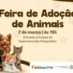 Primeira feira de adoção de cães e gatos do ano será realizada neste sábado (7)