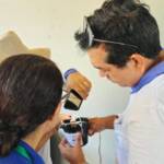 Primeiras ovitrampas são recolhidas com ovos do Aedes aegypti