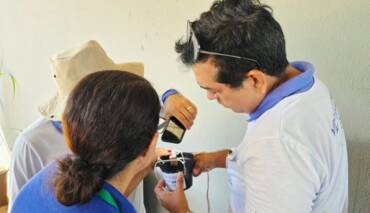 Primeiras ovitrampas são recolhidas com ovos do Aedes aegypti
