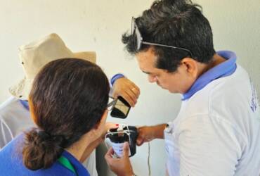 Primeiras ovitrampas são recolhidas com ovos do Aedes aegypti