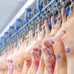 Produção de carne suína bate recorde em 2025, mas oferta abundante pressiona preços