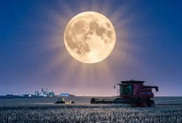 A lua cheia em uma noite de trabalho na fazenda, colheitadeira colhendo soja em Mato Grosso.