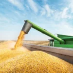 Safra brasileira de grãos pode alcançar 353,4 milhões de toneladas em 2025/26 e renovar recorde histórico