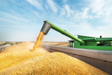 Safra brasileira de grãos pode alcançar 353,4 milhões de toneladas em 2025/26 e renovar recorde histórico