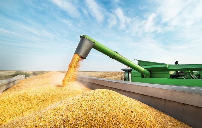 Safra brasileira de grãos pode alcançar 353,4 milhões de toneladas em 2025/26 e renovar recorde histórico