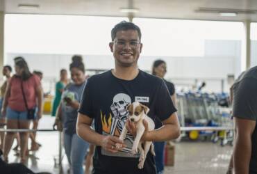 Saiba como adotar animais domésticos em Lucas do Rio Verde