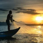 Seguro-Defeso 2026: Pagamento do novo lote exige conformidade com o Reap e CadÚnico