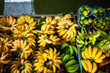Setor produtivo discute impactos de importação de banana do Equador