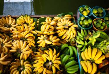 Setor produtivo discute impactos de importação de banana do Equador