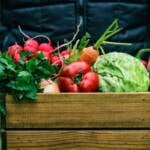 Setor produtivo e governo discutem modernização da regulamentação de orgânicos no país