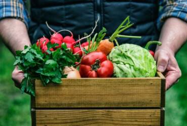 Setor produtivo e governo discutem modernização da regulamentação de orgânicos no país