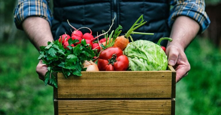 Setor produtivo e governo discutem modernização da regulamentação de orgânicos no país