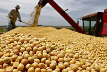 Produtor denuncia golpe em venda de soja e prejuízo de R$ 70 milhões em MT