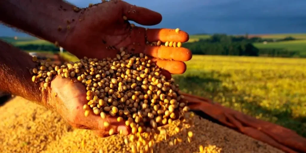 Tensões no Oriente Médio elevam preços da soja e impactam ritmo de exportações