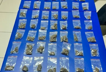 Tráfico de drogas leva três à delegacia em Araputanga