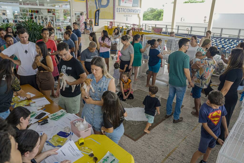 Feira de adoção garante novo lar para 29 cães e gatos em Lucas do Rio Verde