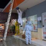 Bombeiros resgatam enxame de abelhas após ataques em posto de combustível em Lucas do Rio Verde