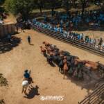 Congresso Mundial Brangus finaliza giras no Rio Grande do Sul e parte para outros Estados