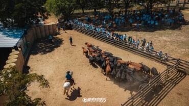 Congresso Mundial Brangus finaliza giras no Rio Grande do Sul e parte para outros Estados
