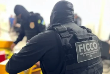 Drogas: força integrada apreende mais de 1 tonelada em uma semana