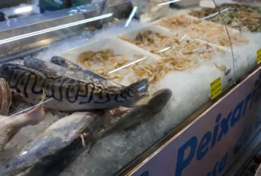 Pescado: Vigilância orienta como escolher e evitar riscos na Semana Santa