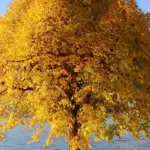 Horóscopo da semana (2 a 8 de março): veja o que esperar nos próximos dias