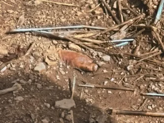 Polícia acha corpo em cova; 6 pessoas são presas em MT