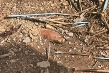 Polícia acha corpo em cova; 6 pessoas são presas em MT