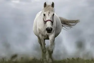 Assim serão os dias 03 e 04 de março para todos os signos do zodíaco