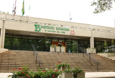 Butantan vai produzir pembrolizumabe contra câncer para o SUS