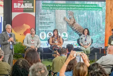 COP15: povos tradicionais exigem reconhecimento dos saberes ancestrais