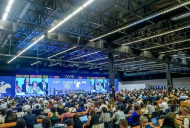 Cop15 reúne diversidade e reforça proteção a espécies migratórias em Campo Grande