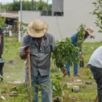 Carbono: BB vai compensar emissões da COP15 no Brasil