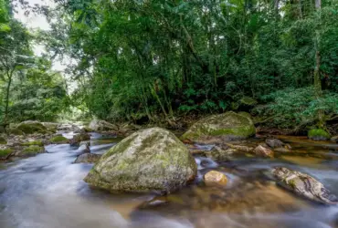 Plano para fortalecer Sisnama até 2036 é apresentado nesta terça-feira (10)