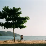 Hoje é feriado? Confira onde é folga neste sábado, 14 de março, e os próximos feriados de 2026