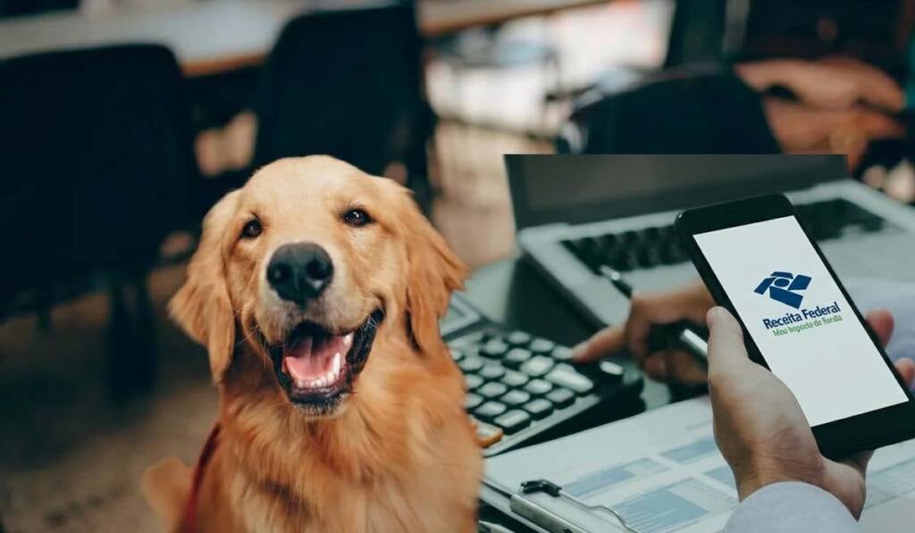 Imposto de Renda: gastos com pets podem ser deduzidos?