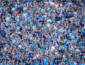DNA COPEIRO: Grêmio é o 4º time que mais utiliza a base no Brasil; Inter é lanterna com 0,4%