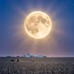 Qual é a fase da Lua hoje (7)? Veja o calendário lunar de março de 2026