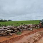 Sema apreende madeira ilegal e multa dono em Nova Monte Verde