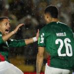 Palmeiras campeão! Verdão faz a festa contra o Novorizontino