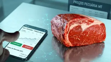 Carne bovina sobre a mesa