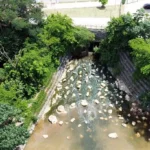 Várzea Grande e Cuiabá enfrentam perdas de água acima de 50%