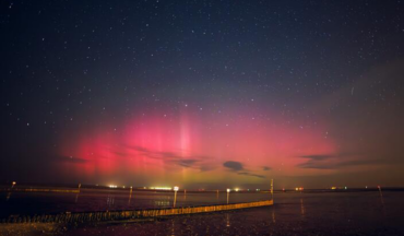 Leões devem mostrar qualidades de liderança, Libra - dê um passo decisivo